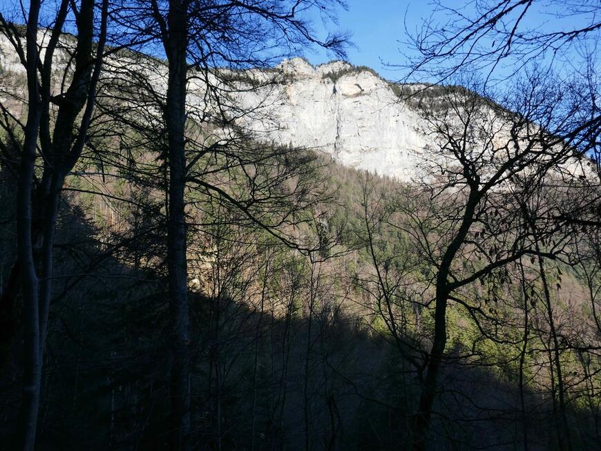 Les murailles Chartrousines baignent dans le soleil Les murailles Chartrousines baignent dans le soleil