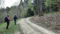 Dispersés Dispersés