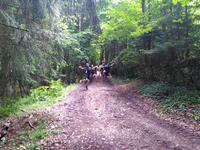 J1 rebond des chamois J1 rebond des chamois